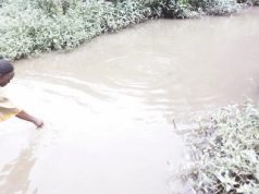 Meet Erin Ayonigba — The Mysterious River in Ekiti That Allegedly Heals, Gives Children & Refuses to Cook Its Own Fish