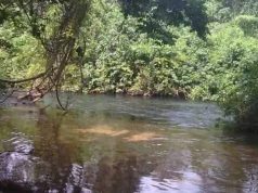 The Mysterious Inachalo River in Kogi Where Fish Allegedly Can’t Be Cooked