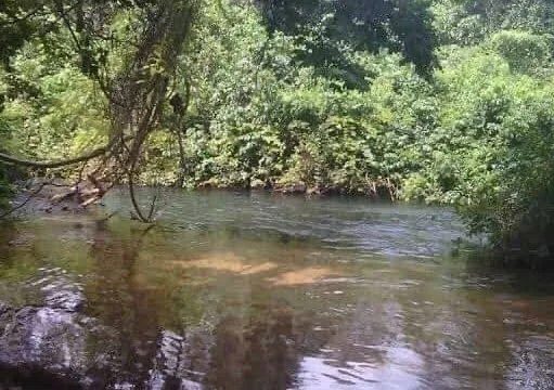 The Mysterious Inachalo River in Kogi Where Fish Allegedly Can’t Be Cooked