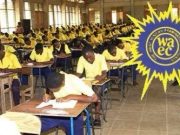 How to check your 2025 WAEC result online
