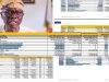 Lagos Q2 Budget Report: Over 20 General Hospitals, Key Agencies Reportedly Received Zero Funding